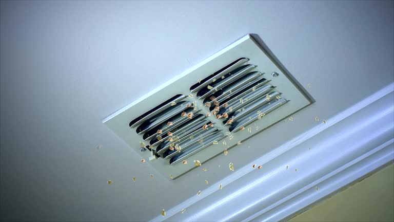 Best Commercial Air Duct Cleaning  in Holland, MI