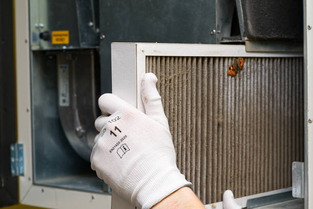 Best HVAC System Cleaning  in Holland, MI