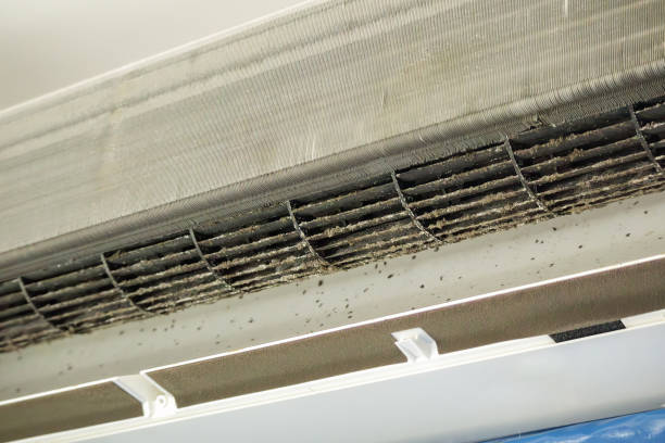 Best Local Air Duct Cleaning Services  in Holland, MI